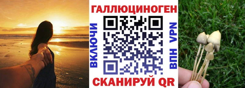 hydra   Сим  Псилоцибиновые грибы прущие грибы 
